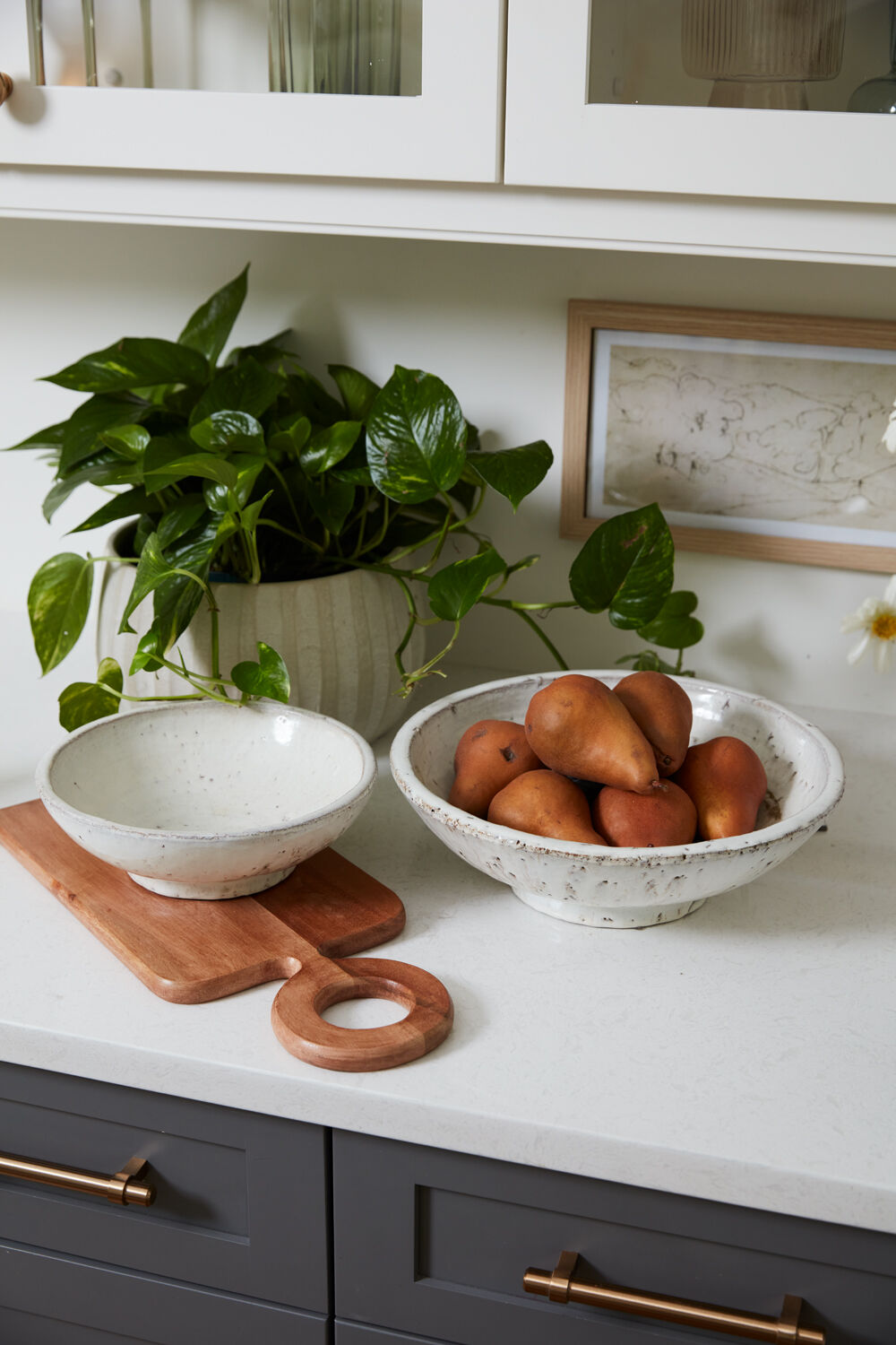 Divvy Bowl